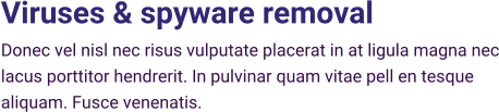 Viruses & spyware removal Donec vel nisl nec risus vulputate placerat in at ligula magna nec lacus porttitor hendrerit. In pulvinar quam vitae pell en tesque aliquam. Fusce venenatis.